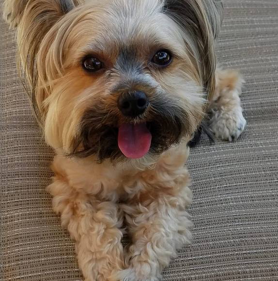 Meet your Posher, Andrew - Picture 1 of 1